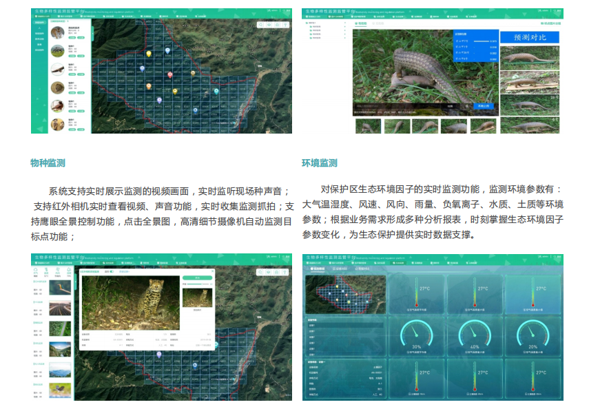 山東建成全國生物多樣性保護監管平臺