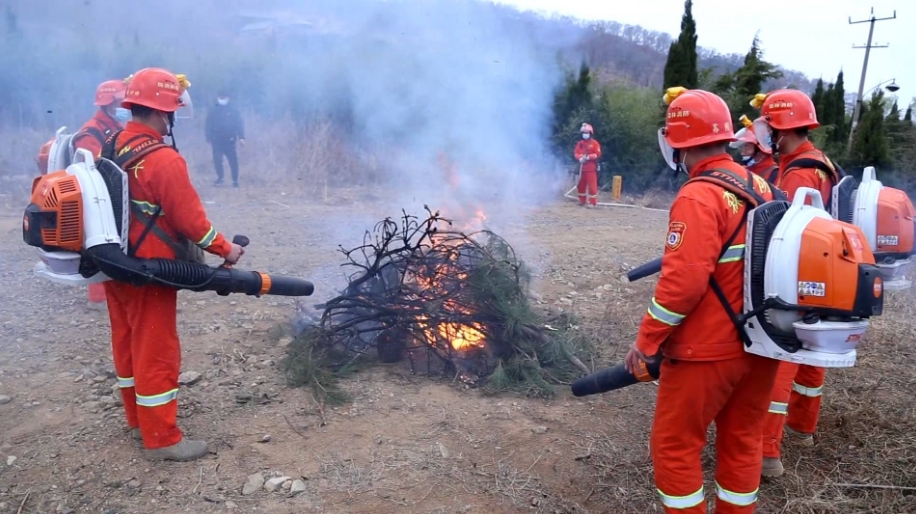 森林綜合安全管理平臺、實時監測預警分析處理一體化方案
