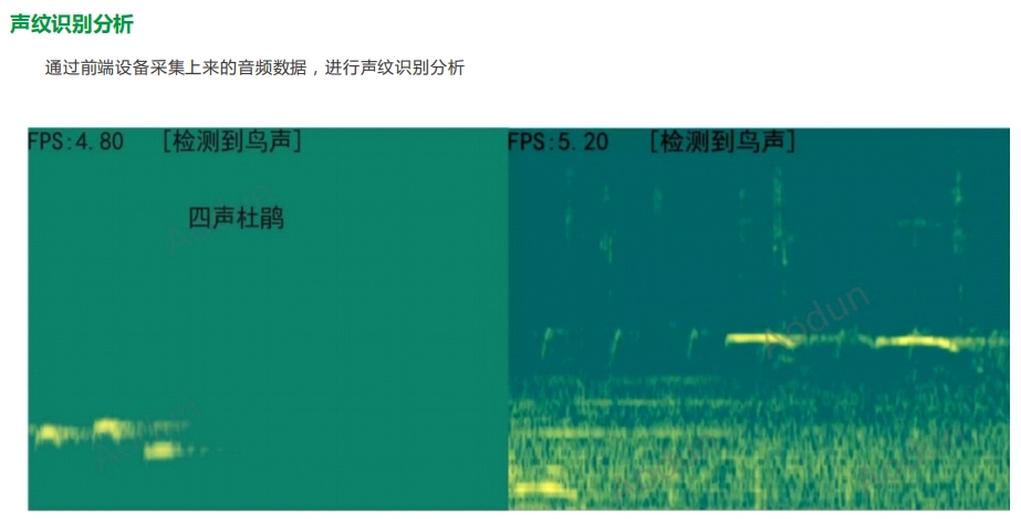 生物多樣性管理平臺、科學監測生態多樣性、多場景應用方案